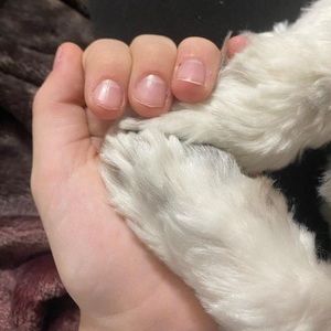 Meet your Posher, Abbi